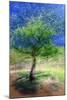 Spring Tree-Ursula Abresch-Mounted Photographic Print