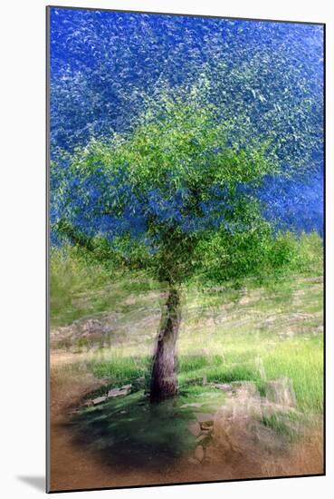 Spring Tree-Ursula Abresch-Mounted Photographic Print