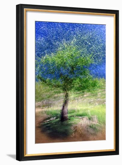 Spring Tree-Ursula Abresch-Framed Photographic Print