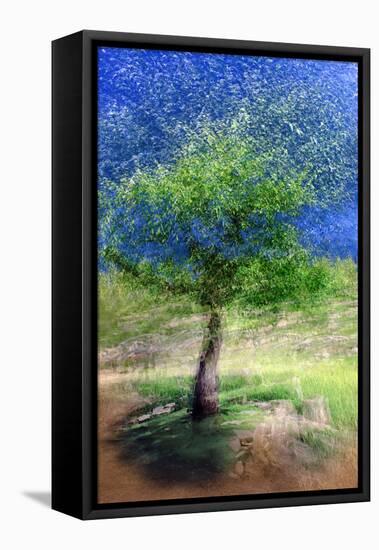 Spring Tree-Ursula Abresch-Framed Premier Image Canvas