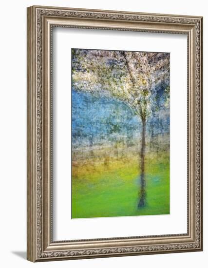 Spring Tree-Ursula Abresch-Framed Photographic Print