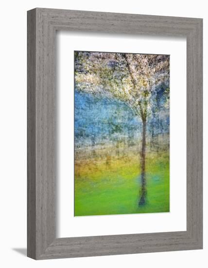 Spring Tree-Ursula Abresch-Framed Photographic Print