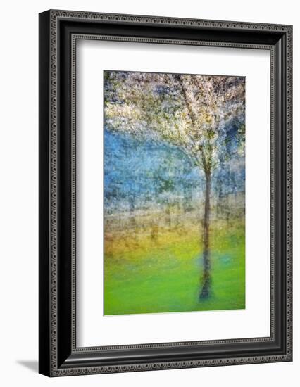 Spring Tree-Ursula Abresch-Framed Photographic Print