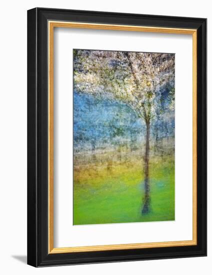 Spring Tree-Ursula Abresch-Framed Photographic Print