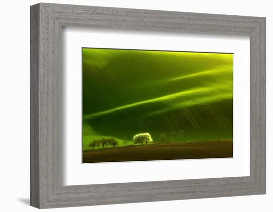 Spring Tree-Marcin Sobas-Framed Photographic Print