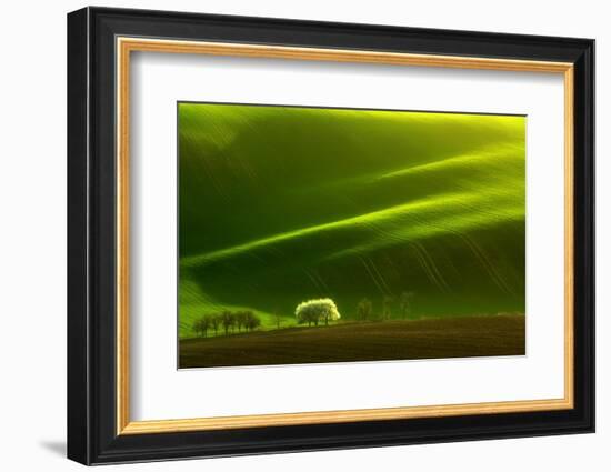 Spring Tree-Marcin Sobas-Framed Photographic Print