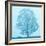 Spring Tree-James McLoughlin-Framed Photographic Print