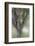 Spring Trees 3-Ursula Abresch-Framed Photographic Print