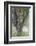 Spring Trees 3-Ursula Abresch-Framed Photographic Print