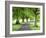 Spring Trees on the Stray in Spring, Harrogate, North Yorkshire, Yorkshire, England, UK, Europe-Mark Sunderland-Framed Photographic Print