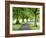 Spring Trees on the Stray in Spring, Harrogate, North Yorkshire, Yorkshire, England, UK, Europe-Mark Sunderland-Framed Photographic Print