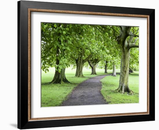 Spring Trees on the Stray in Spring, Harrogate, North Yorkshire, Yorkshire, England, UK, Europe-Mark Sunderland-Framed Photographic Print