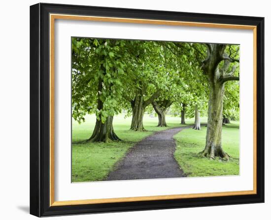 Spring Trees on the Stray in Spring, Harrogate, North Yorkshire, Yorkshire, England, UK, Europe-Mark Sunderland-Framed Photographic Print