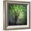 Spring Trees-Ursula Abresch-Framed Photographic Print