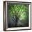 Spring Trees-Ursula Abresch-Framed Photographic Print