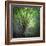 Spring Trees-Ursula Abresch-Framed Photographic Print