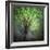 Spring Trees-Ursula Abresch-Framed Photographic Print