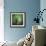 Spring Trees-Ursula Abresch-Framed Photographic Print displayed on a wall