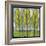 Spring Trees-Tim Nyberg-Framed Giclee Print