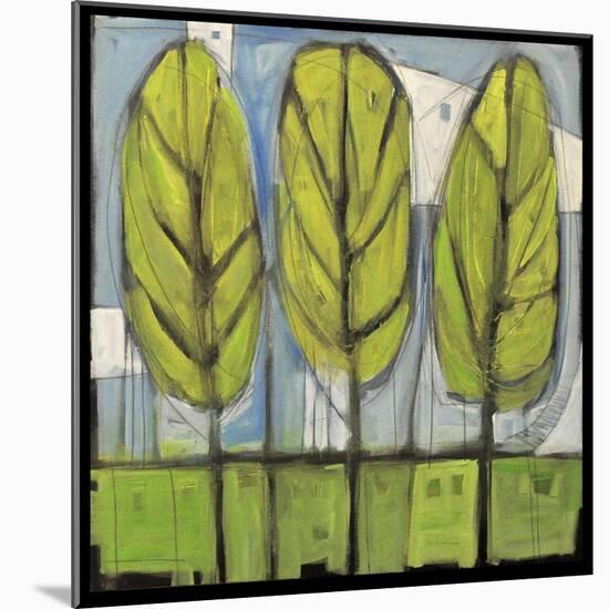 Spring Trees-Tim Nyberg-Mounted Giclee Print