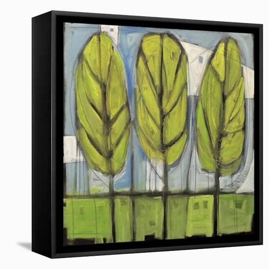 Spring Trees-Tim Nyberg-Framed Premier Image Canvas