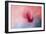 Spring Tulip Magnolia-Jai Johnson-Framed Giclee Print