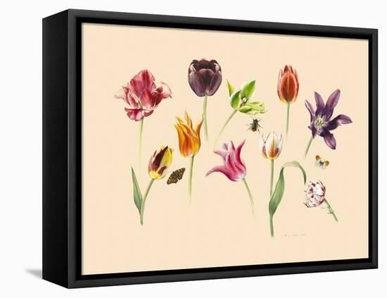 spring tulips and insects-Alison Cooper-Framed Premier Image Canvas