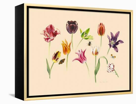 spring tulips and insects-Alison Cooper-Framed Premier Image Canvas