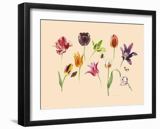 spring tulips and insects-Alison Cooper-Framed Giclee Print