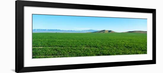 Spring Valley, Antelope Valley, California-null-Framed Photographic Print