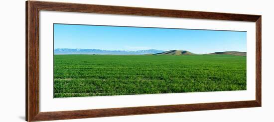 Spring Valley, Antelope Valley, California-null-Framed Photographic Print