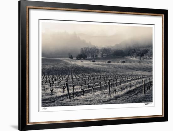 Spring Valley Mist-Donald Satterlee-Framed Giclee Print