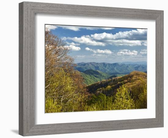 Spring View of Deep Creek Valley, Great Smoky Mountains National Park, North Carolina, Usa-Adam Jones-Framed Photographic Print