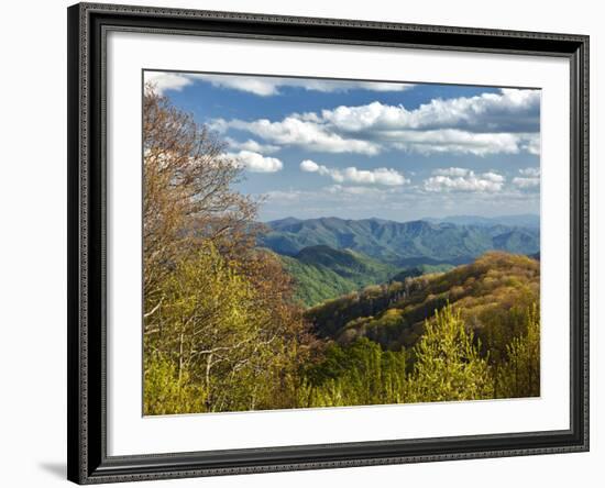 Spring View of Deep Creek Valley, Great Smoky Mountains National Park, North Carolina, Usa-Adam Jones-Framed Photographic Print