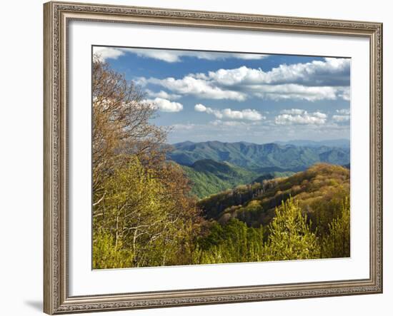 Spring View of Deep Creek Valley, Great Smoky Mountains National Park, North Carolina, Usa-Adam Jones-Framed Photographic Print