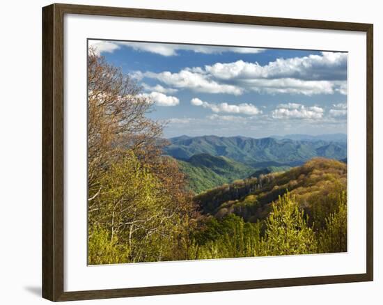 Spring View of Deep Creek Valley, Great Smoky Mountains National Park, North Carolina, Usa-Adam Jones-Framed Photographic Print