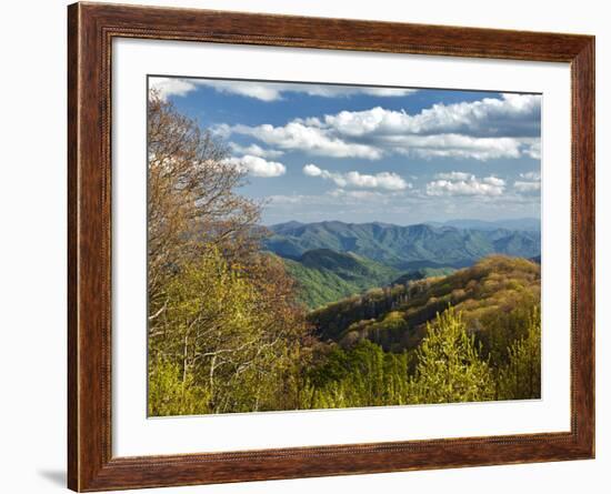 Spring View of Deep Creek Valley, Great Smoky Mountains National Park, North Carolina, Usa-Adam Jones-Framed Photographic Print