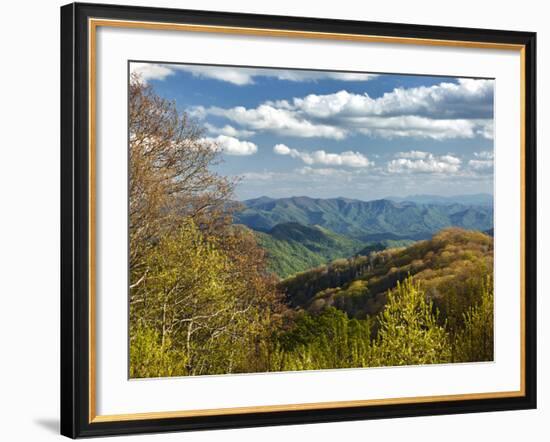 Spring View of Deep Creek Valley, Great Smoky Mountains National Park, North Carolina, Usa-Adam Jones-Framed Photographic Print