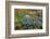 Spring Vortex-Heidi Westum-Framed Photographic Print