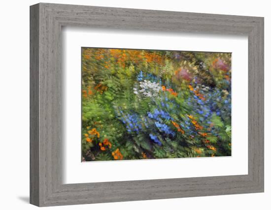 Spring Vortex-Heidi Westum-Framed Photographic Print