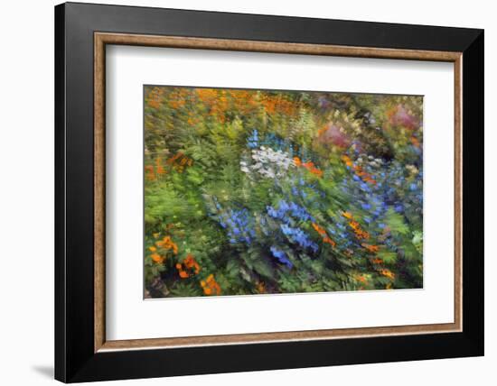 Spring Vortex-Heidi Westum-Framed Photographic Print