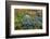 Spring Vortex-Heidi Westum-Framed Photographic Print