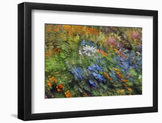 Spring Vortex-Heidi Westum-Framed Photographic Print