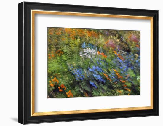 Spring Vortex-Heidi Westum-Framed Photographic Print