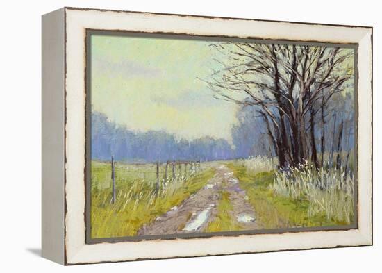 Spring Warm Up-Carol Strock Wasson-Framed Stretched Canvas