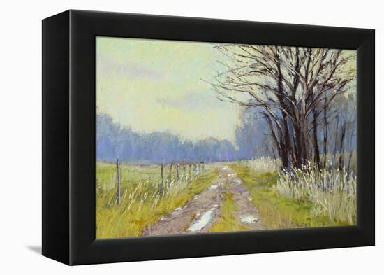 Spring Warm Up-Carol Strock Wasson-Framed Stretched Canvas