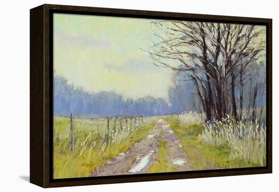 Spring Warm Up-Carol Strock Wasson-Framed Stretched Canvas