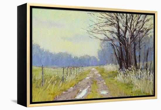 Spring Warm Up-Carol Strock Wasson-Framed Stretched Canvas