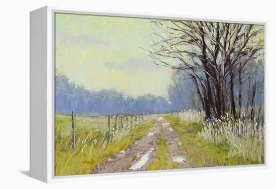 Spring Warm Up-Carol Strock Wasson-Framed Stretched Canvas