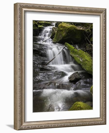 Spring Waters-Brenda Petrella Photography LLC-Framed Giclee Print